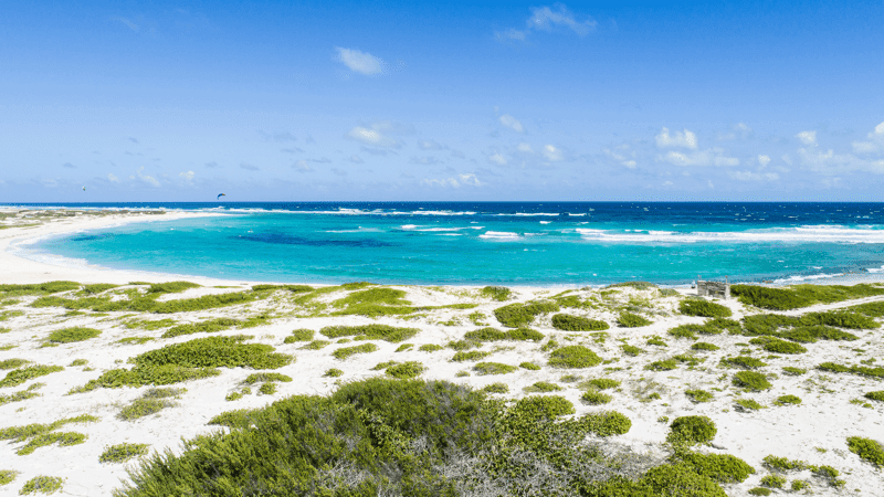Surfing at Boca Grandi, Aruba, Aruba