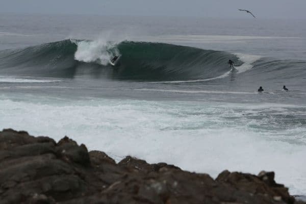 Surfing at Arica (El Gringo / La Isla), Arica, Chile