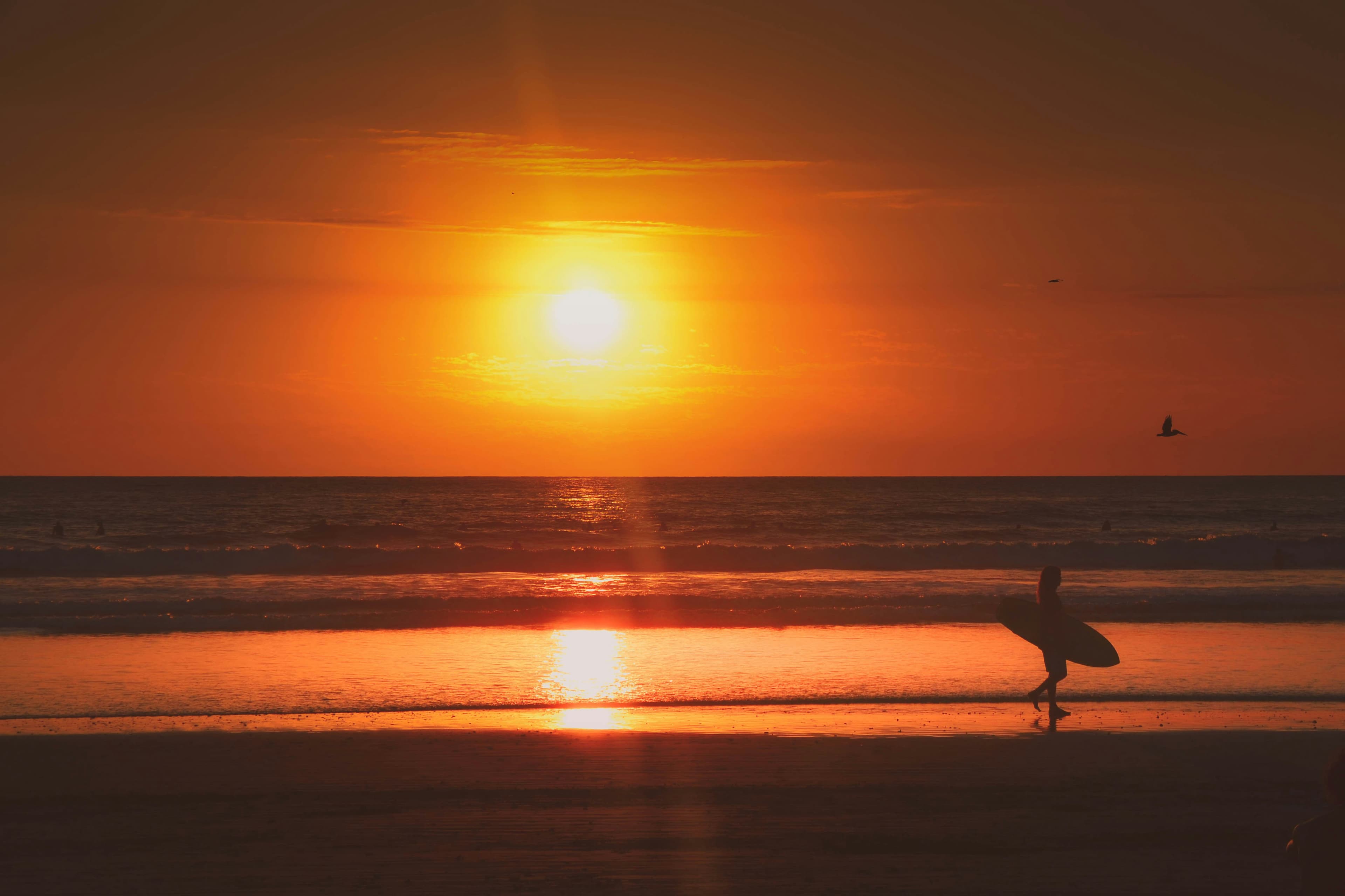 Surfing at Nosara, Nosara, Costa Rica