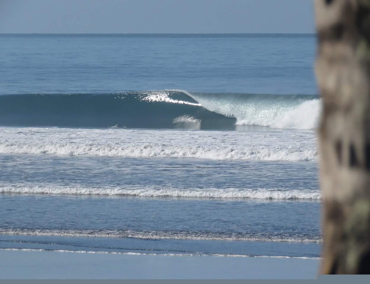 Surf lesson listing in Tamarindo, photo 5