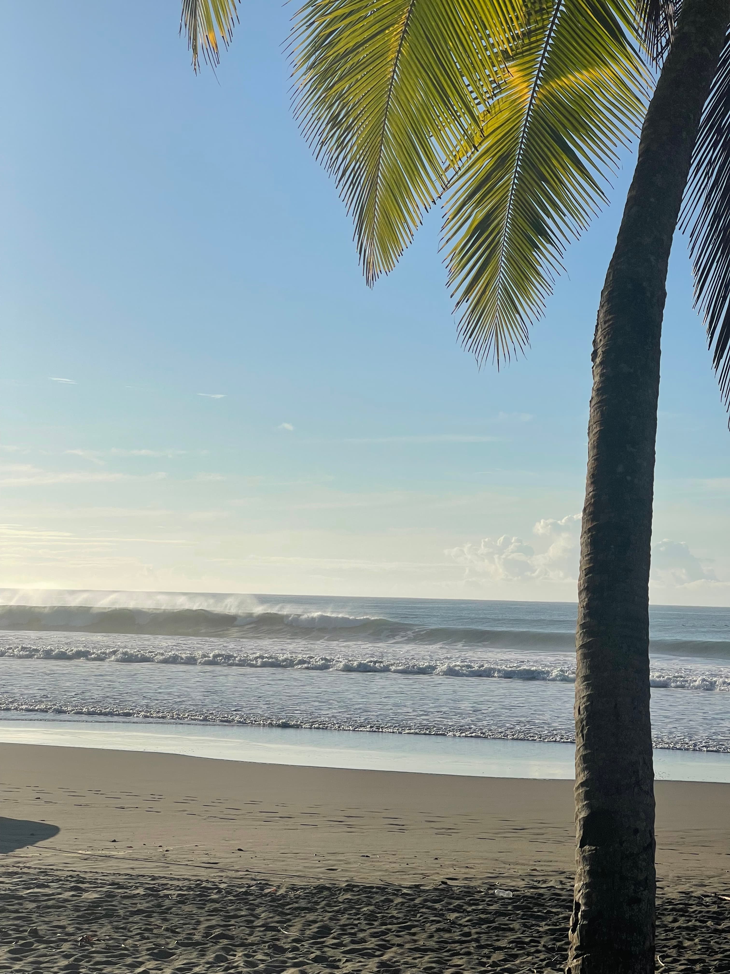 Surf lesson listing in Jaco Beach, photo 5