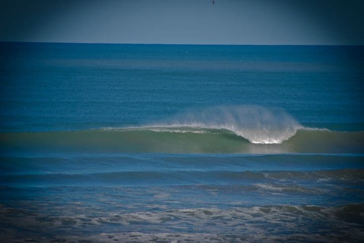 Surfing at Mar del Plata (Biología), Buenos Aires Prov., Argentina