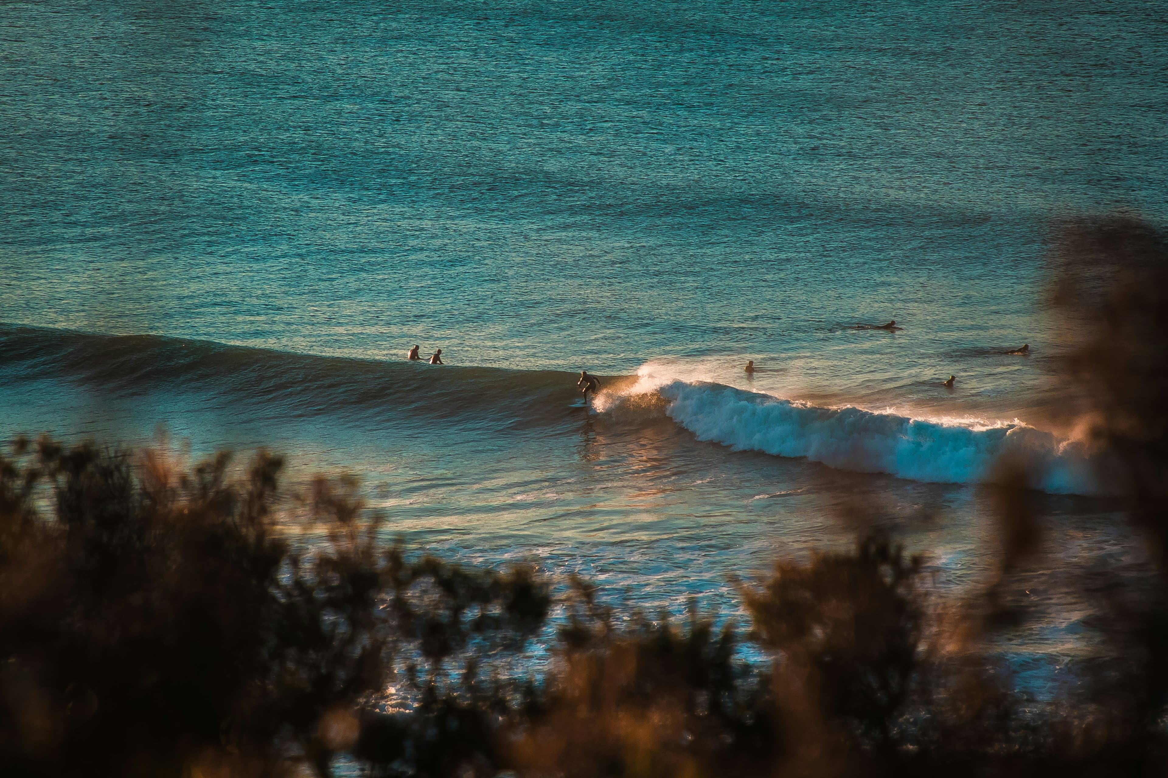 Surfing at Bells Beach, Torquay, VIC, Australia