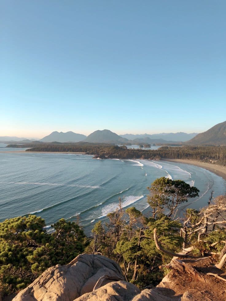 Surfing at Tofino (Cox Bay), British Columbia, Canada