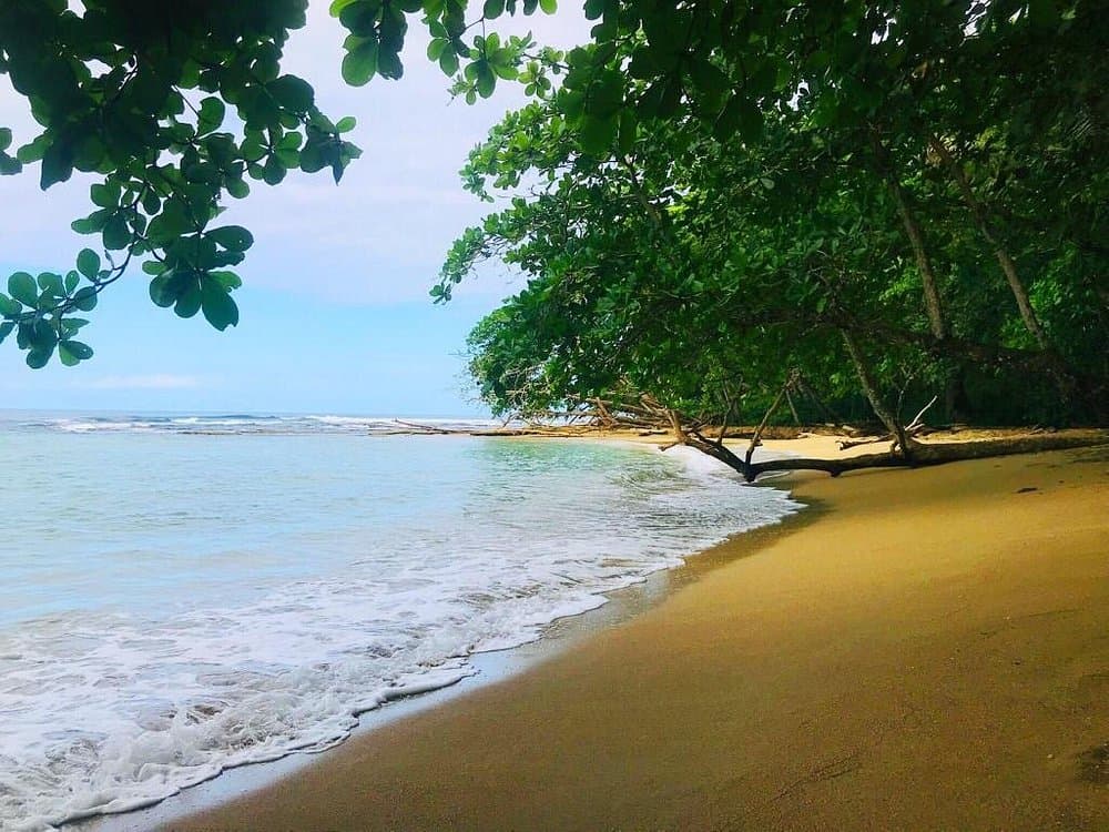 Surfing at Chiquita Beach, Puerto Viejo, Costa Rica