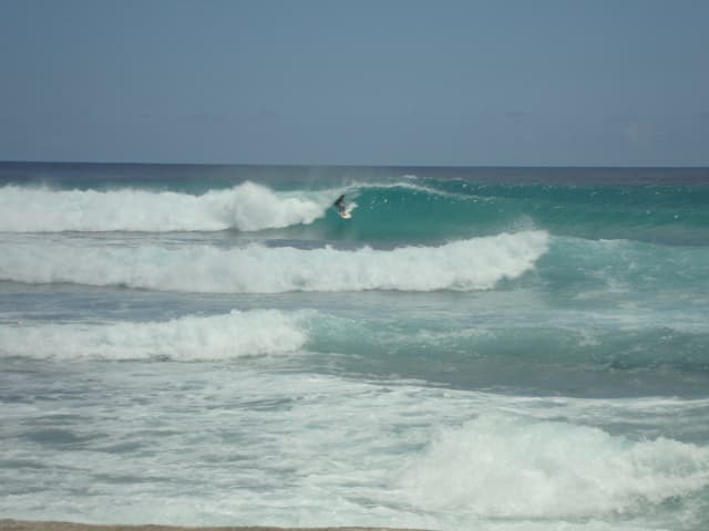 Surfing at Le Moule, Grande-Terre, Guadeloupe