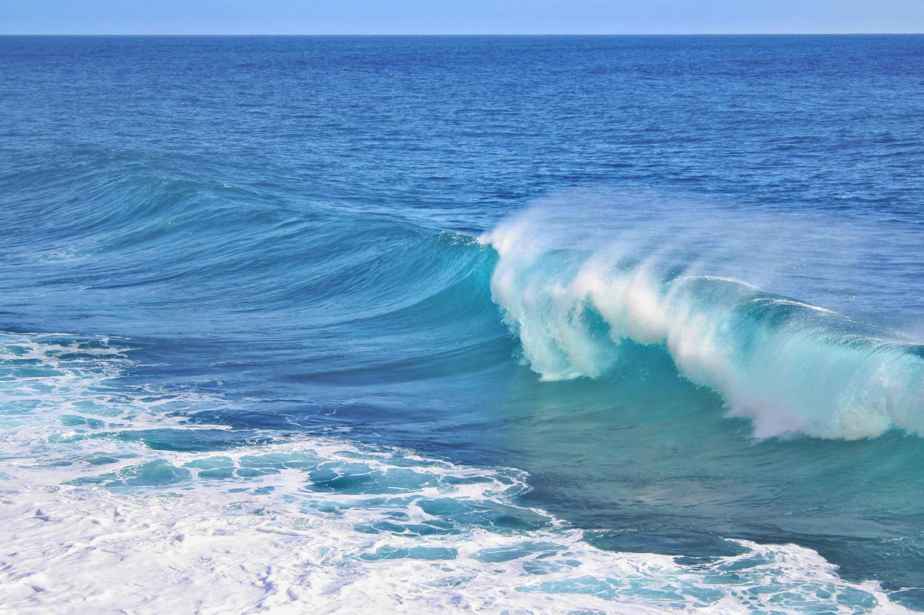 Surfing at Jardim do Mar, Calheta, Portugal