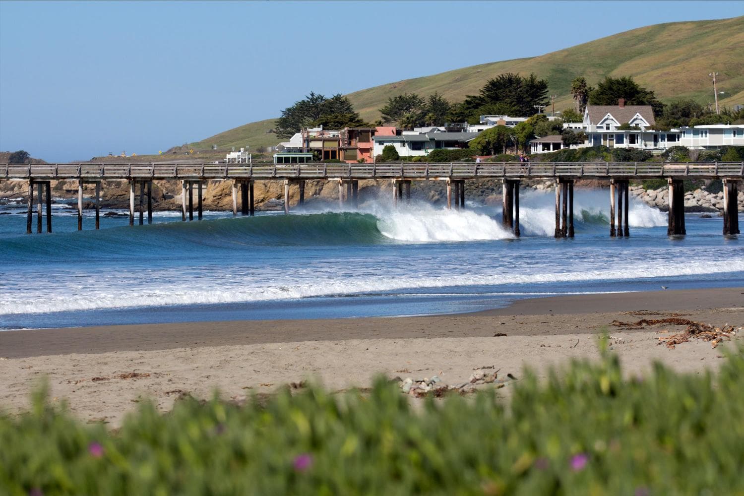 Surfing at Pismo Beach, San Luis Obispo, USA