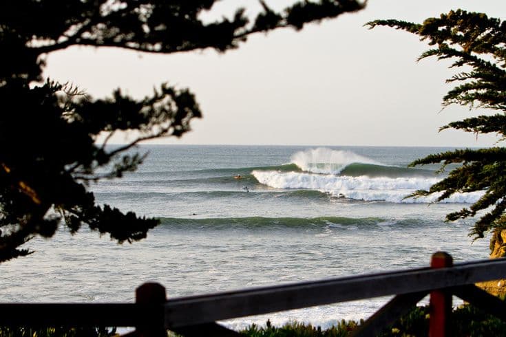 Surfing at Santa Cruz (Cowell's), Santa Cruz, USA