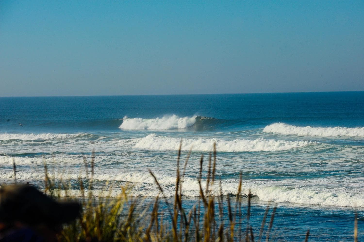 Surfing at Westport, Washington, USA