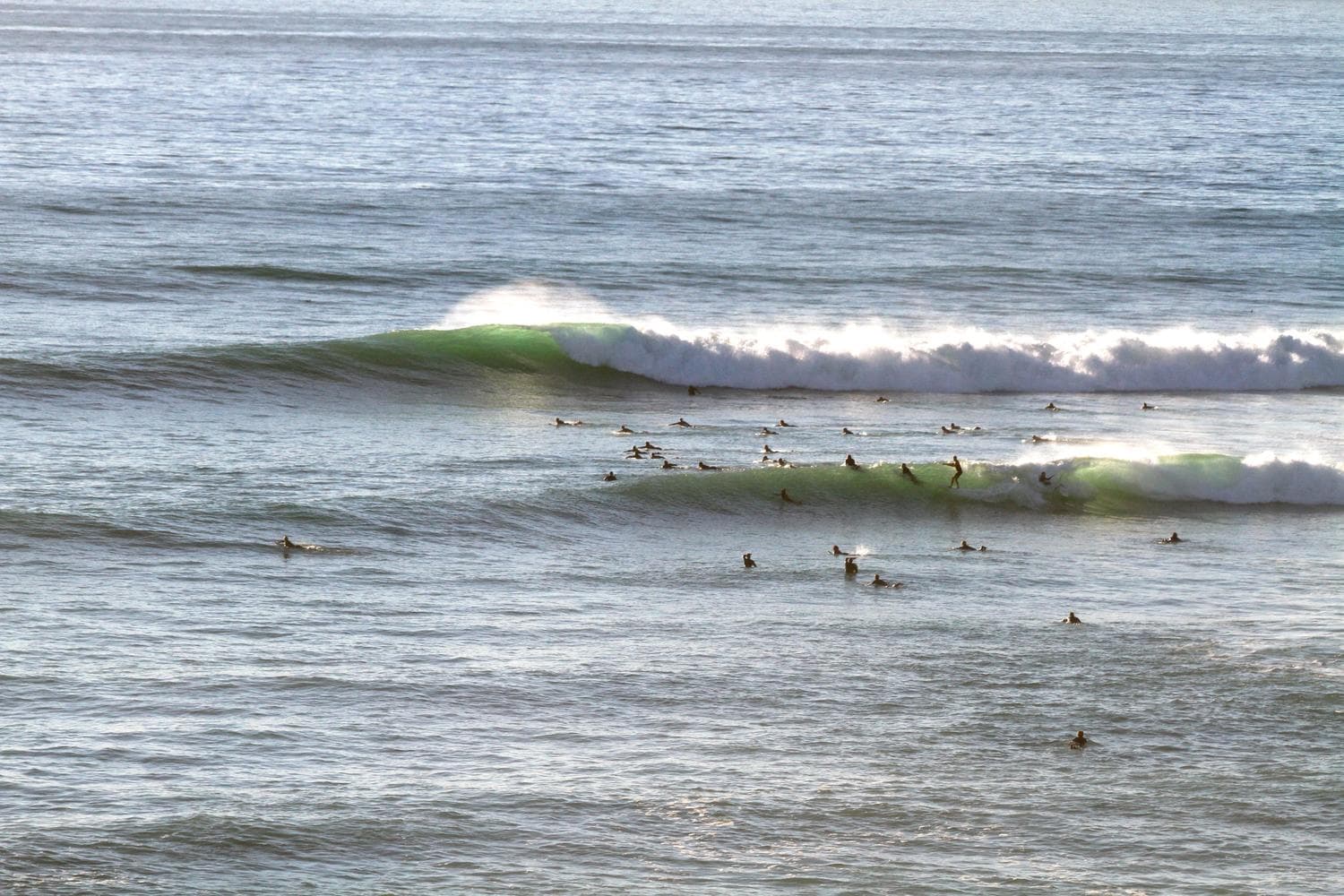 Surfing at Encinitas (Moonlight Beach), San Diego County, USA